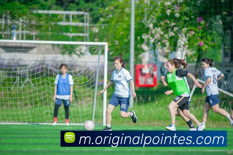 金年会网页版服务体系